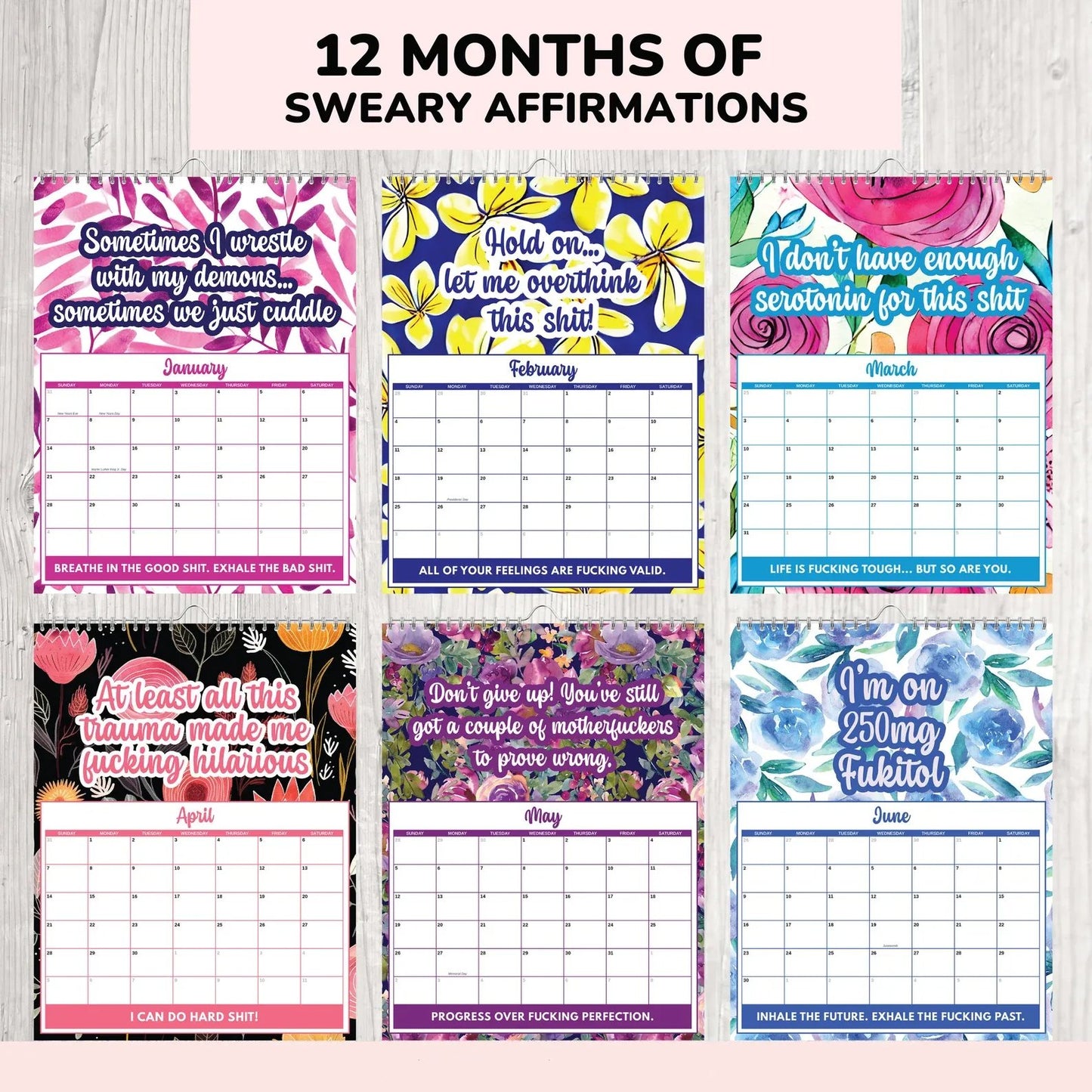 2026 Funny Sweary Mental Health Wall Calendar