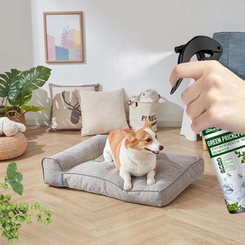 🎉Summer Special 50% off🎉Powerful Mite Remover Spray - Deep Clean, Protect Health!
