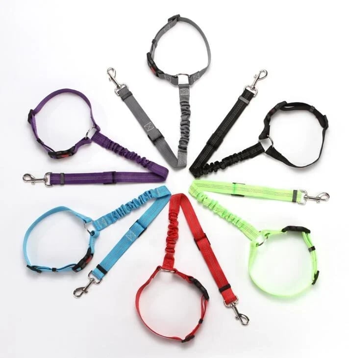 (🔥2023 HOT SALE ) - Adjustable Car Dog Leash(BUY 3 Free Shipping)